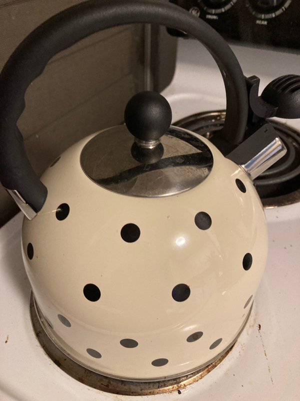 #25 今日はGirls Day と耳の日