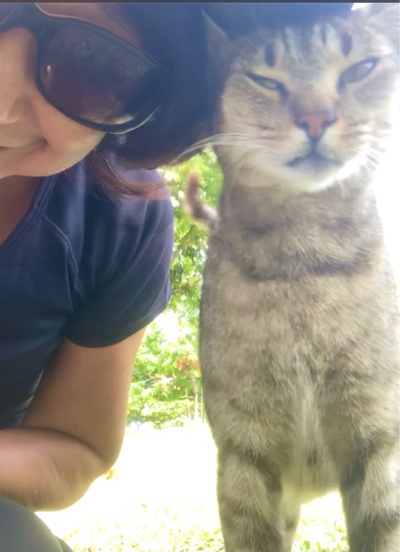 #93 米国本土観光客でハワイは大混雑