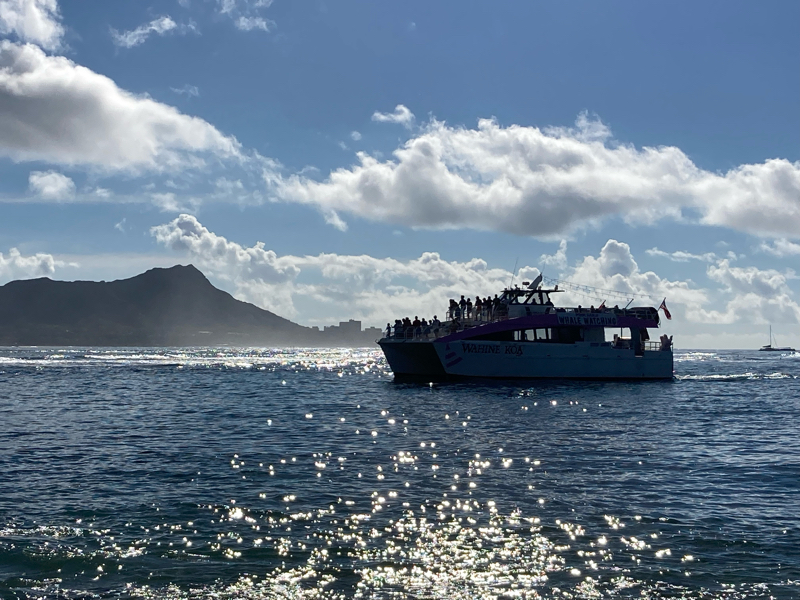 #364 ハワイからメレカリキマカ