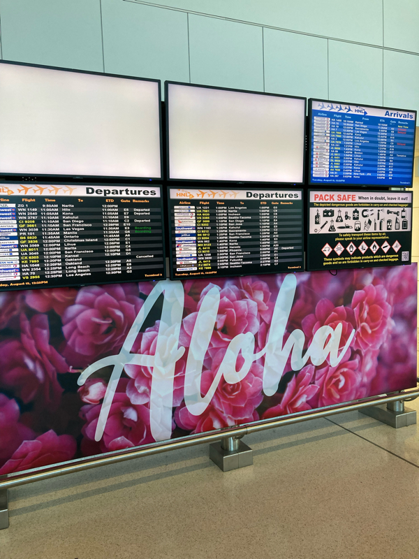 #430 ラハイナ大火災から2週間