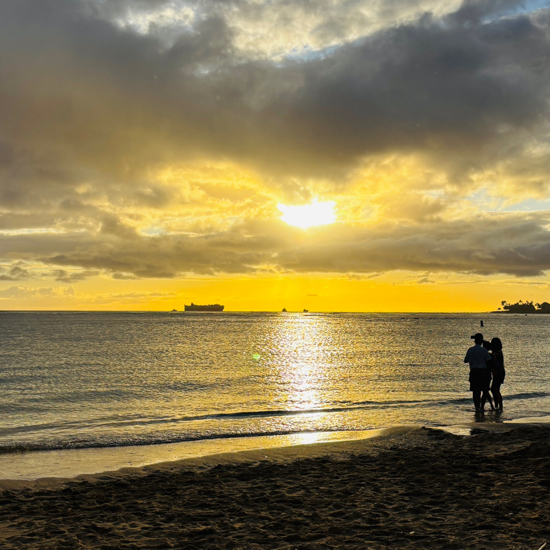 #799 Kona Lowがもたらした被害