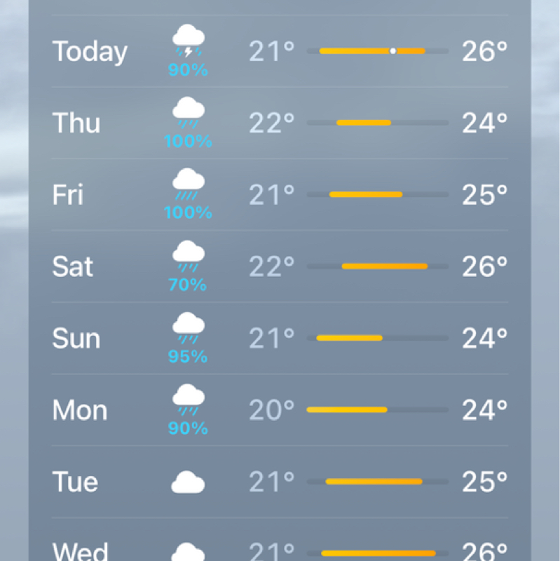 #805 コナロウ、再び