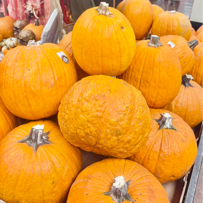 #866 ハロウィンはなぜ、かぼちゃか？