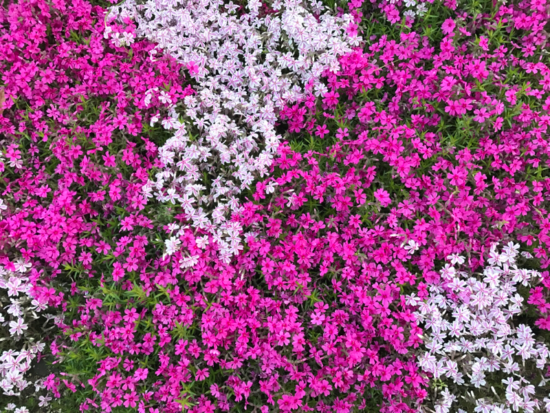 深夜のひとりごと