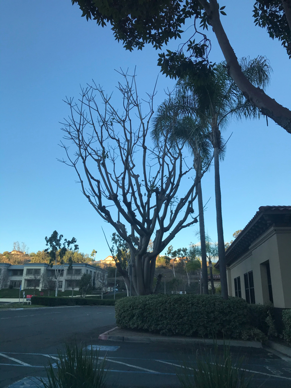 もやもやしちゃってる？