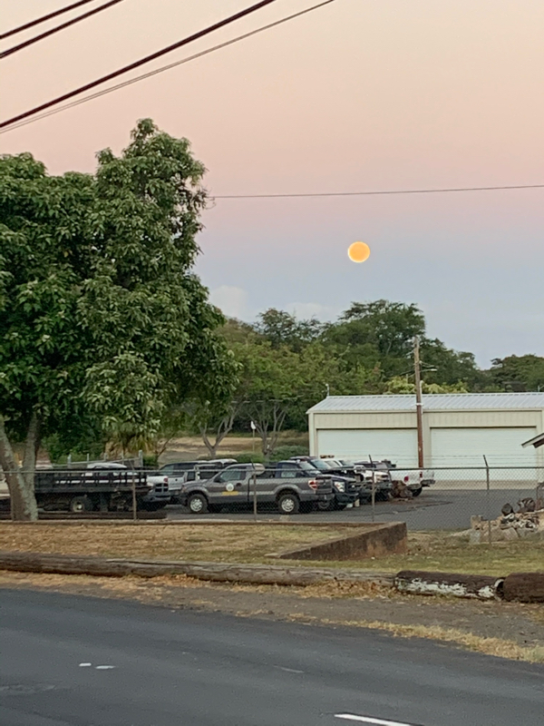 #18 嬉しかったこと