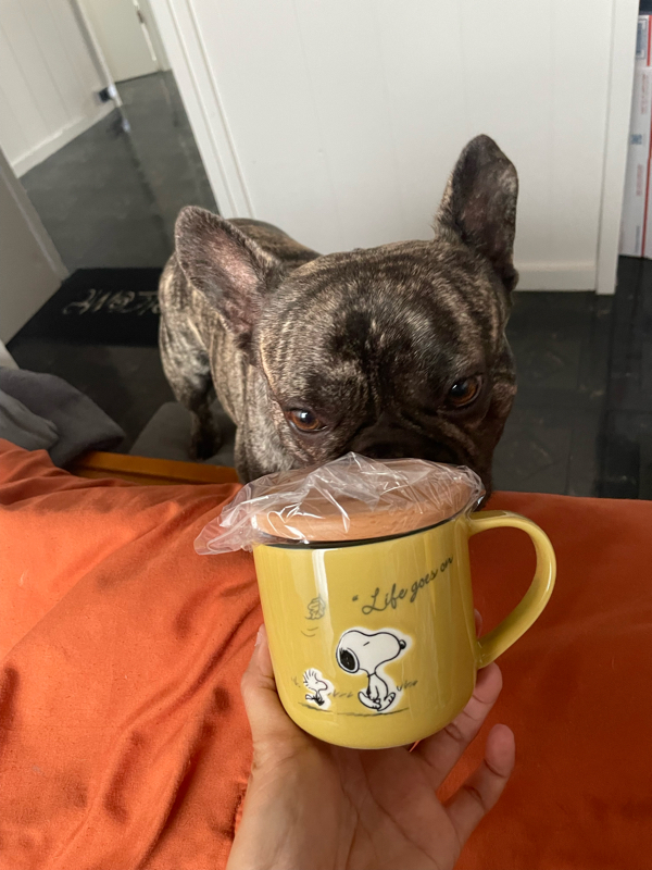 #103 ハワイは月曜日　日本は火曜日