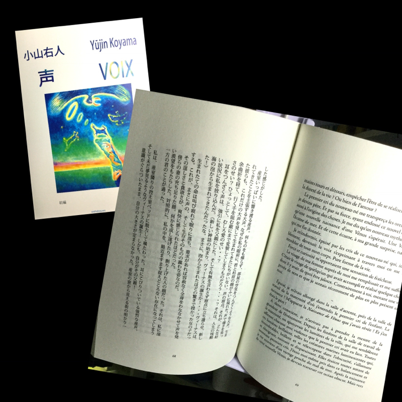【フランス語朗読、自作小説‘声’（Voix）】2章パート2、Lecture mon roman.