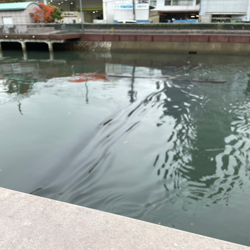 #1357 伝わる言葉で