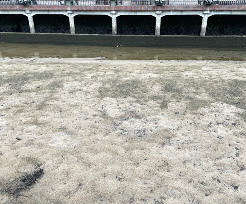 #1360 第40回芸協コマド落語会を見ましたよ