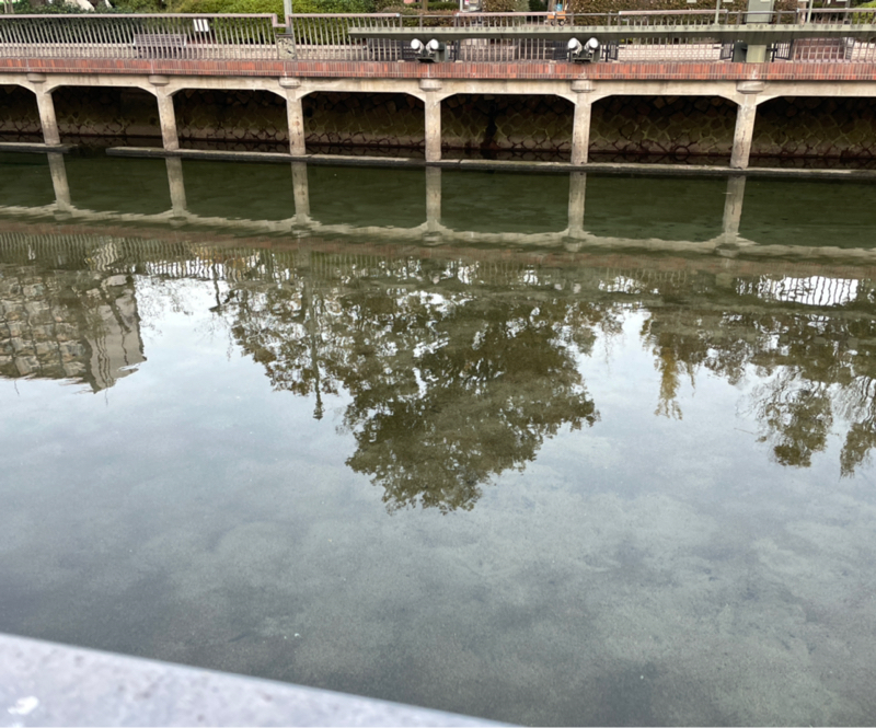 #1363 昨日はレッスンでした