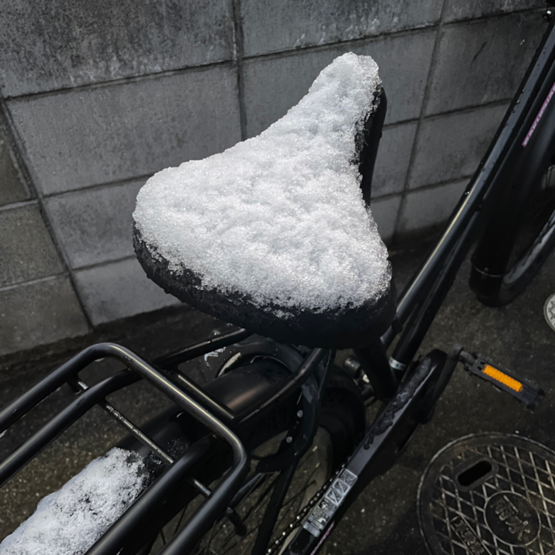 #1411 大雪でした