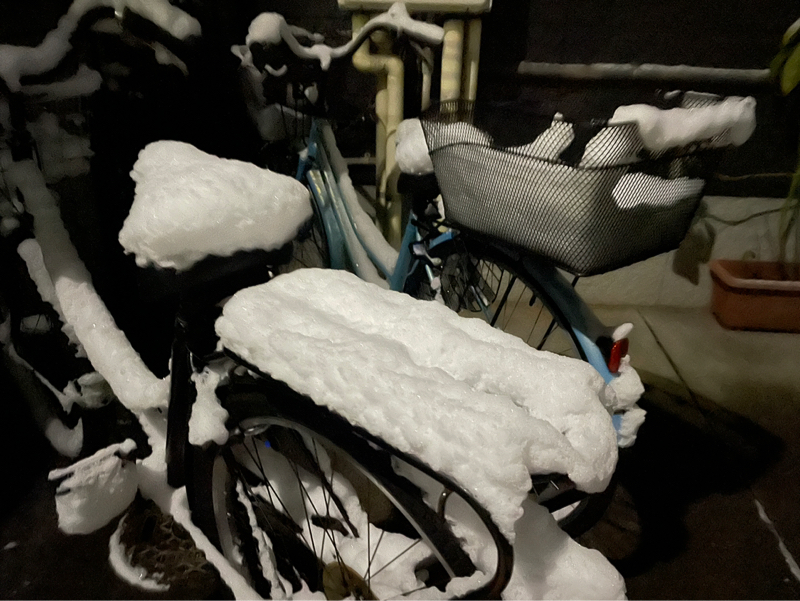 #1446 大雪でした