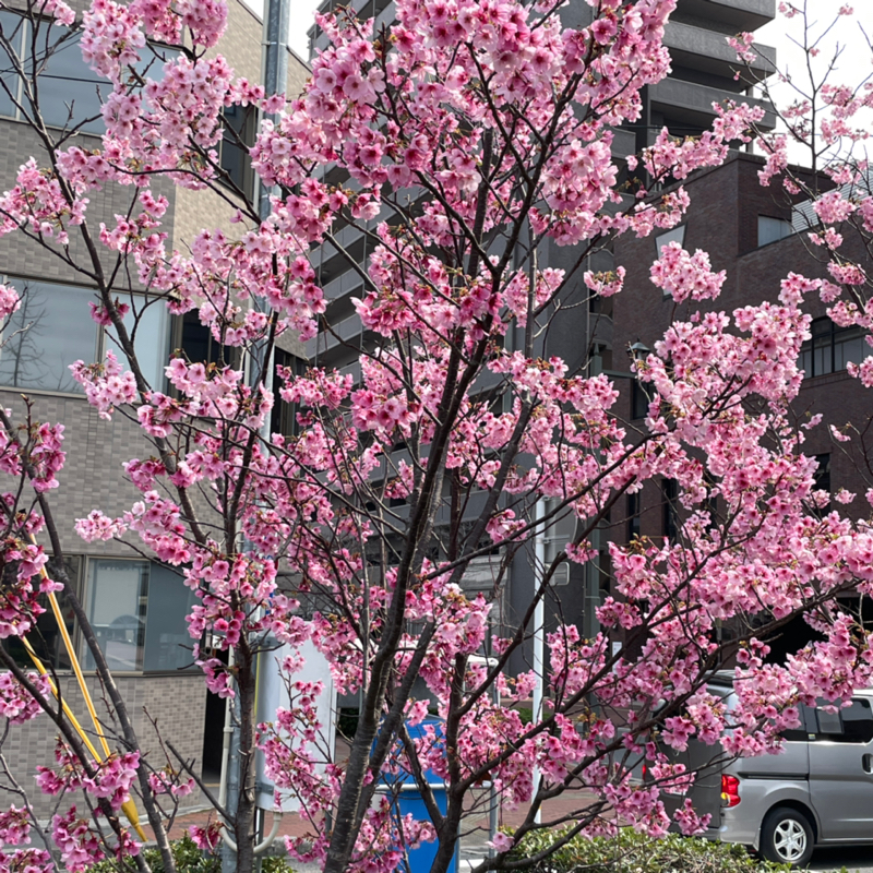 #1492 たべてみたい