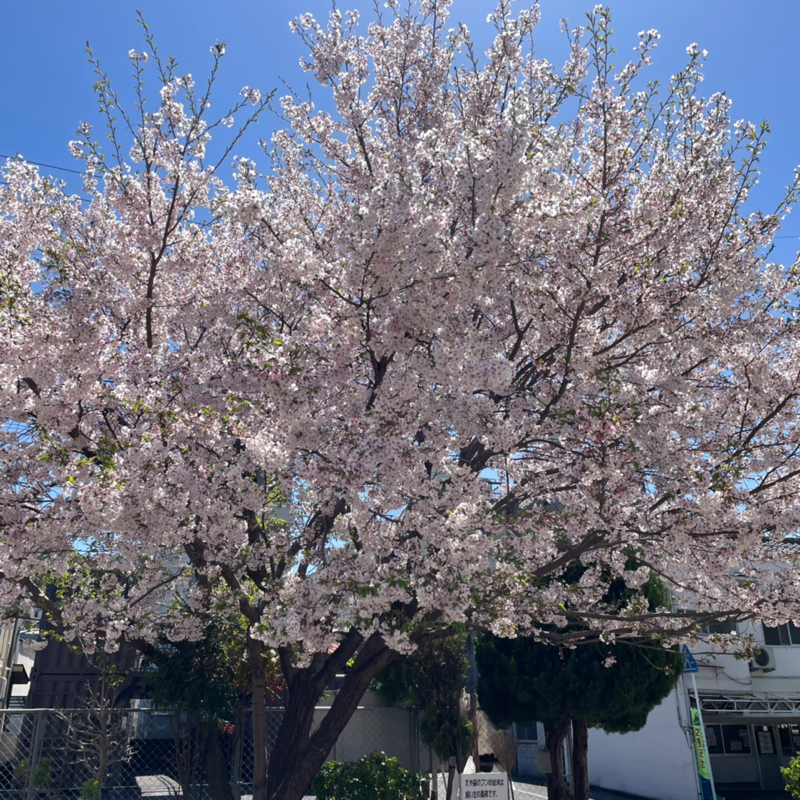 #1502 キラキラのエネルギー