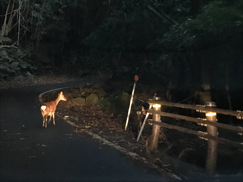 暴力性について