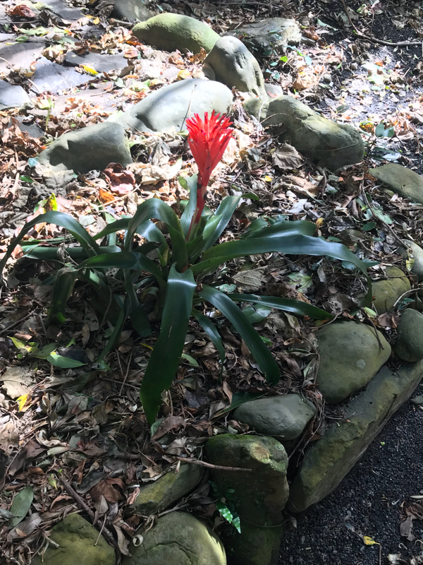 悔い選が見れない病の理由