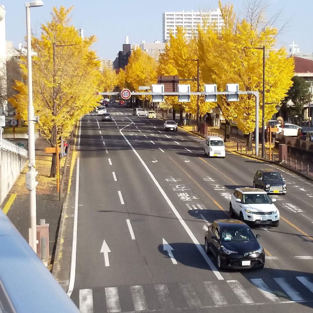 地域に根差した不動産屋の駐車場経営に着手した件