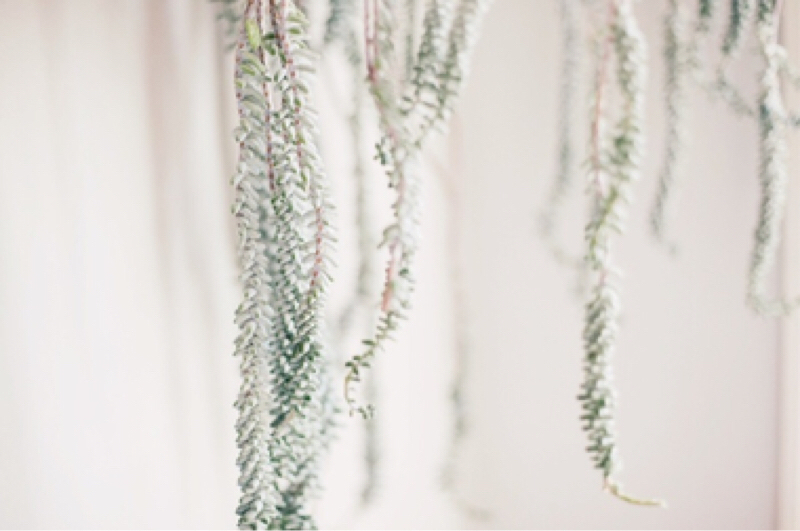 イメソンについて語るよ！①②