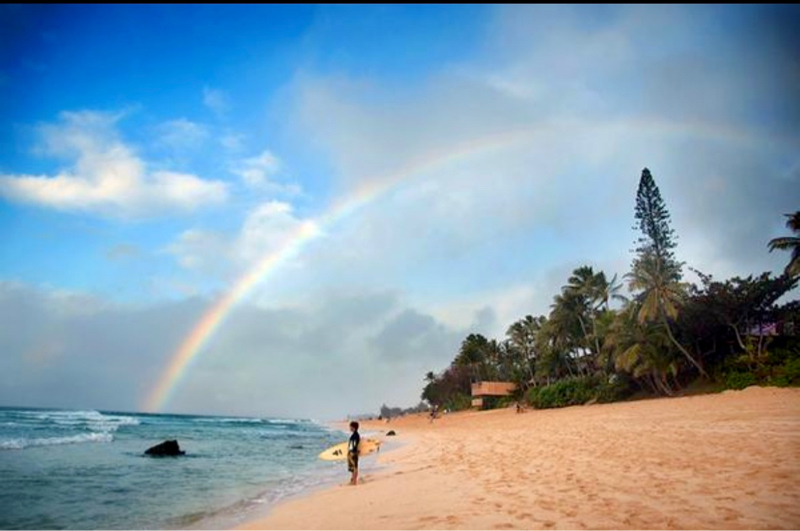 第47回　日本のワクチン摂取証明書はハワイでは無効なの❓😥