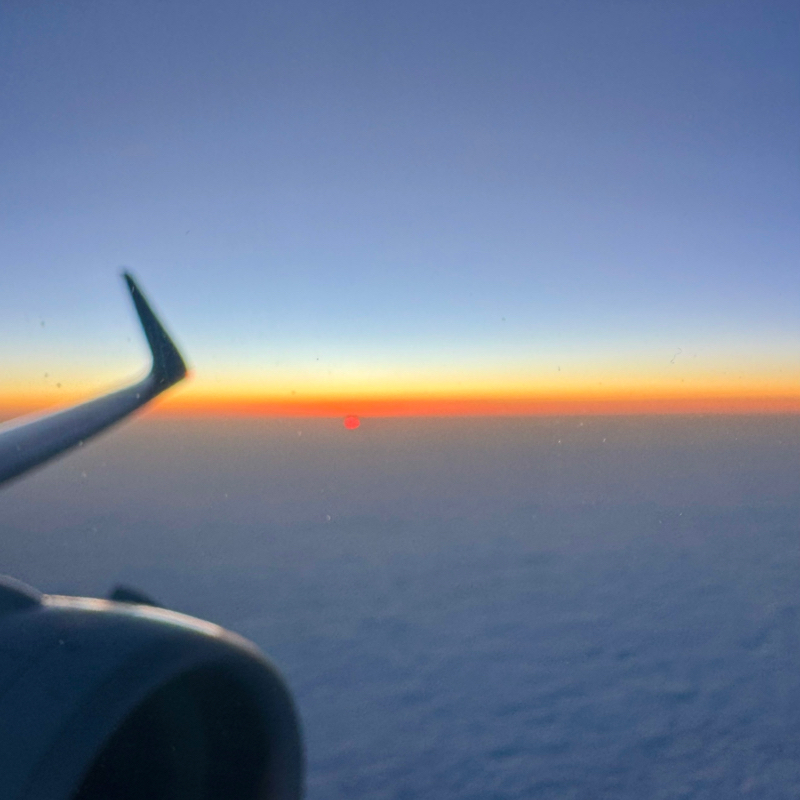 第146回　3週間の出張を経てやっとハワイに戻ったら、記録的な大雨でホノルルフェスティバルに大影響😰