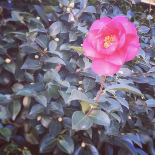 |15|「明日の準備は今晩しよう」。