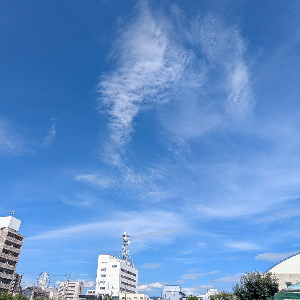 #344 家の空間を整えて、早くスッキリしたい!!💪