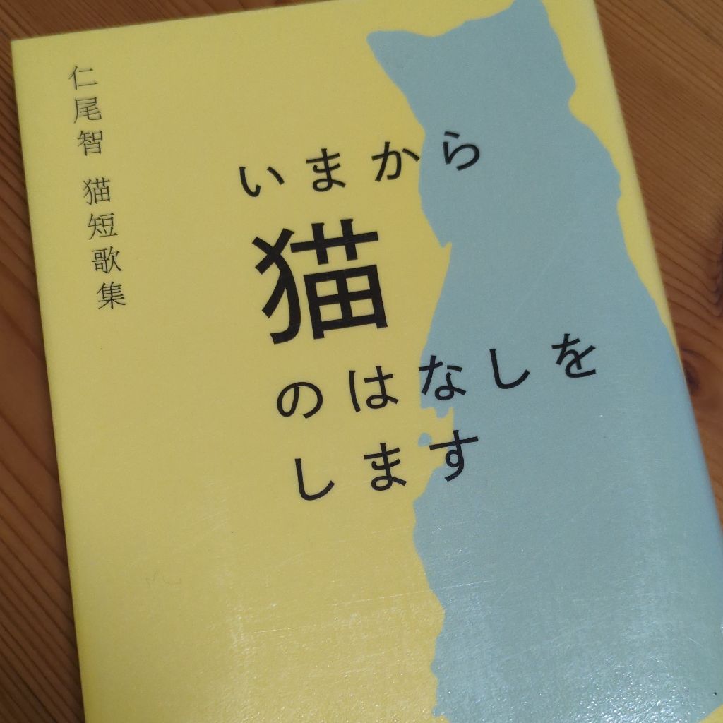 #377 図書館で感じたこと/短歌集『いまから猫のはなしをします』がのんびりしていいですよぉ〜😽