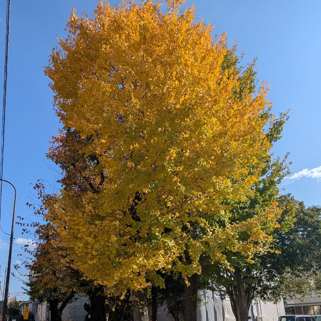 ＃393　知らず知らずの間に、器が大きくなっていたら嬉しい🥳🎉