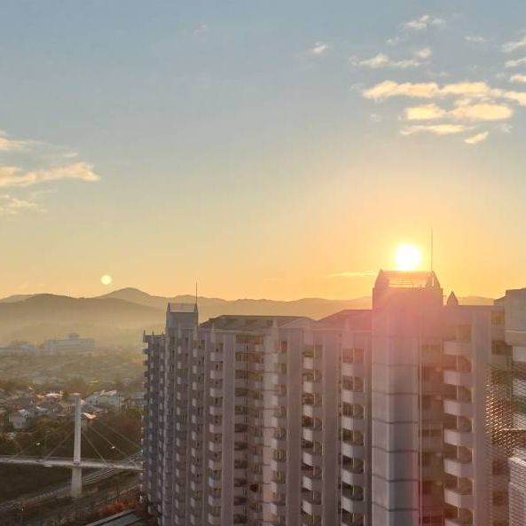 ＃400　パッカパッカと駆け抜ける🐴午年に！