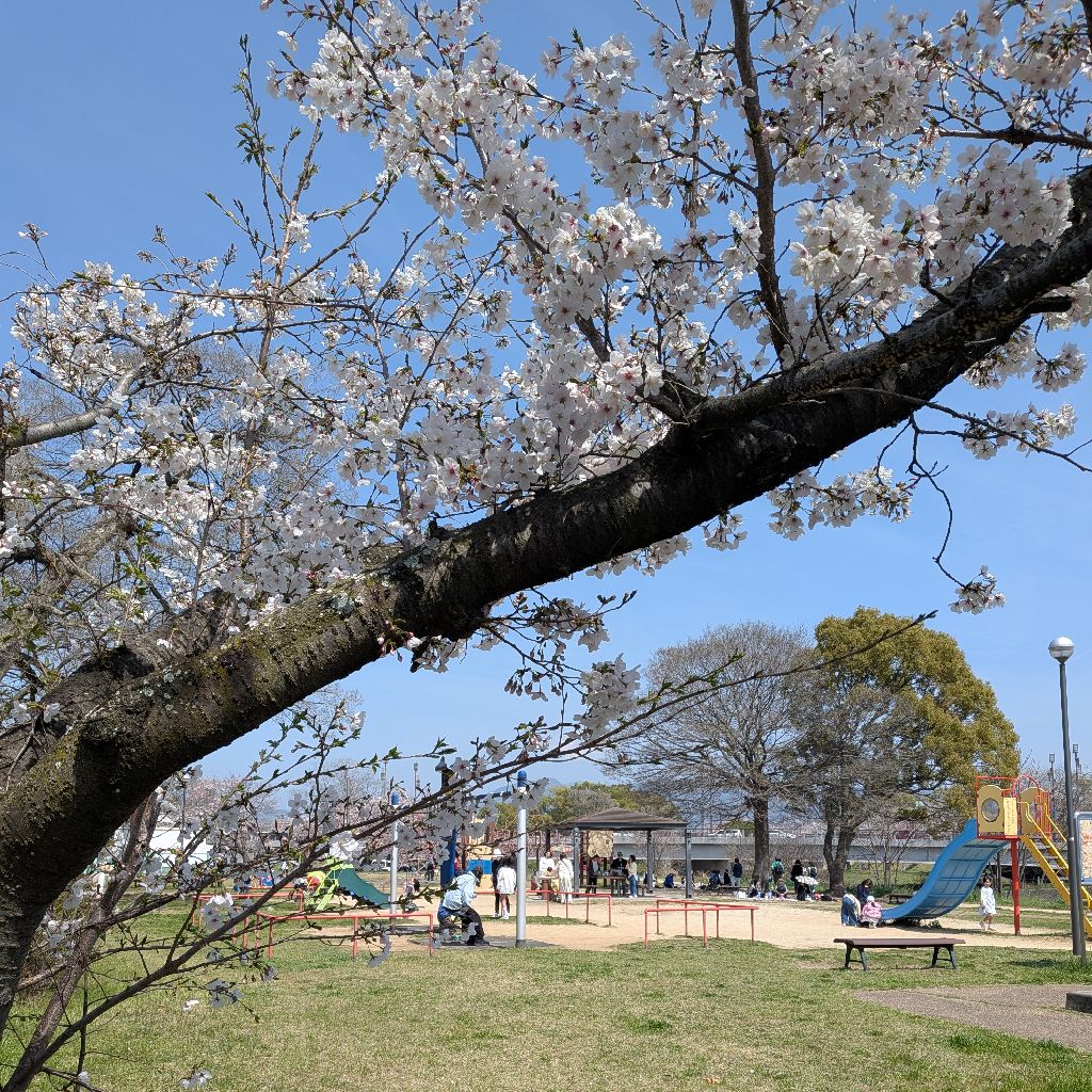 #348　夜のドライブ／🌸明日もいい一日になりますように〜✨