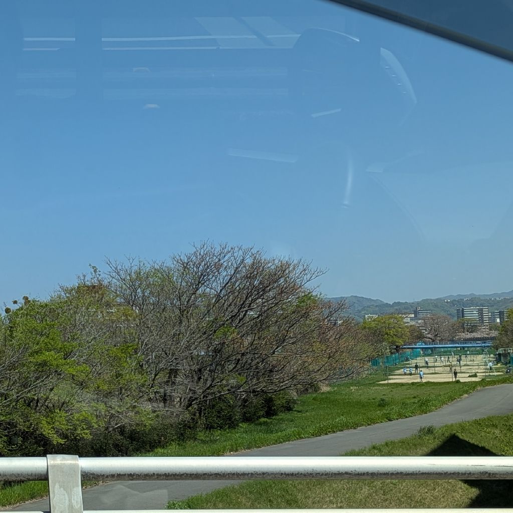 #441　新緑の季節🌱