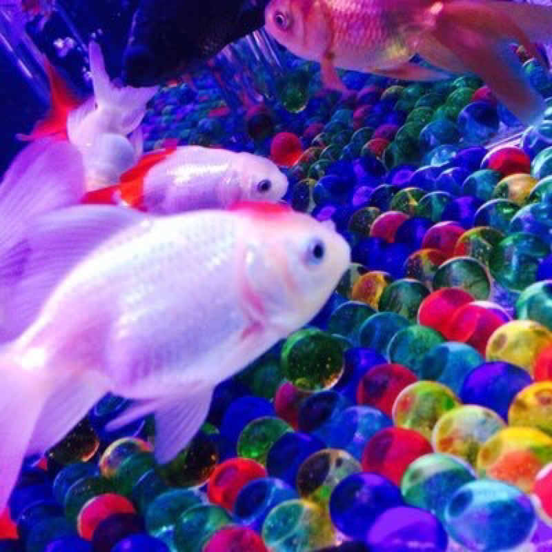 塩の職人ラジオ