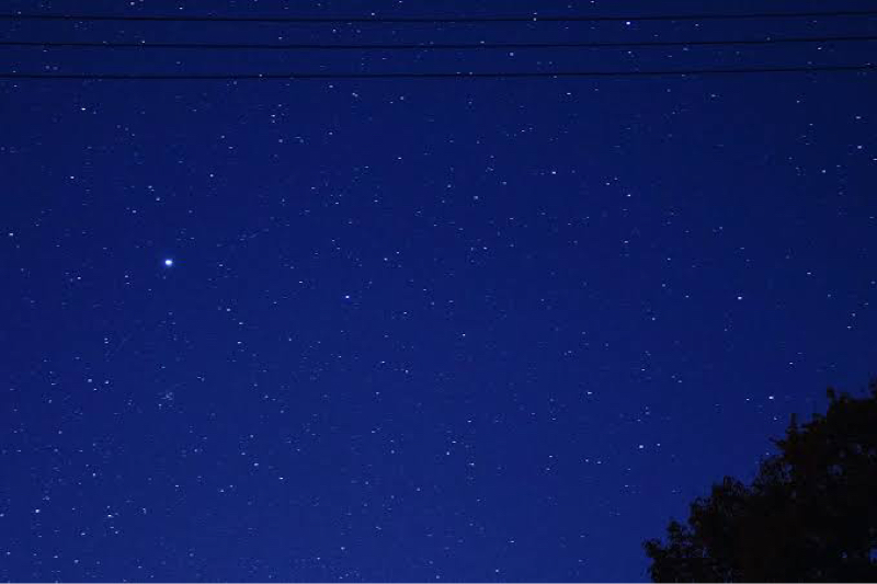 有軌道雑談1   7749恋愛遍歴