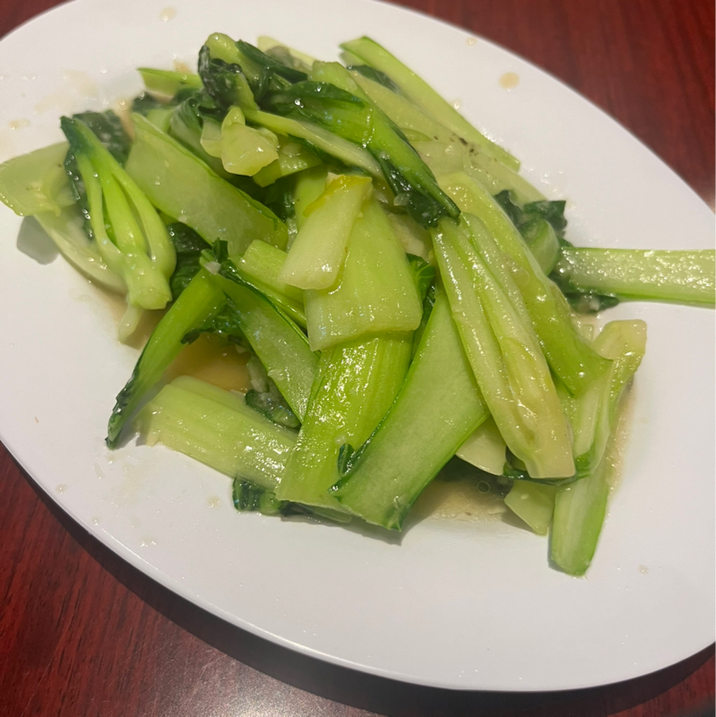 3月30日(月)今週のマエハラ婦人会