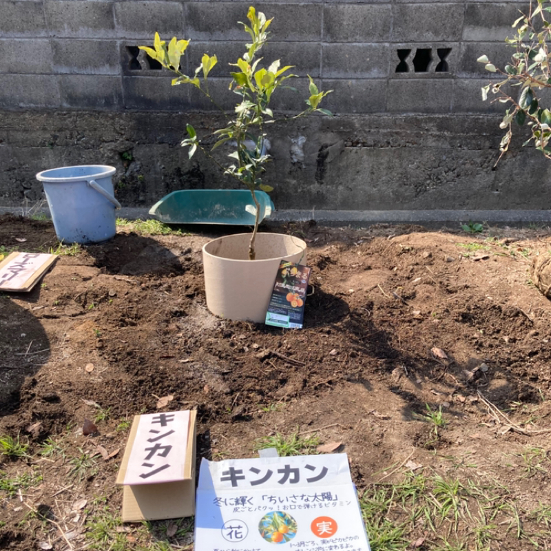 連続講座の記事の紹介