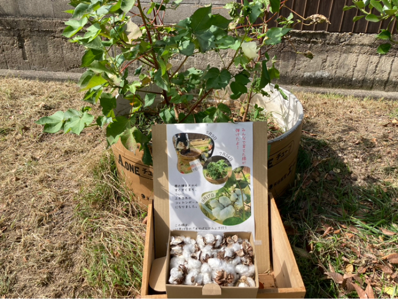 芋煮飯