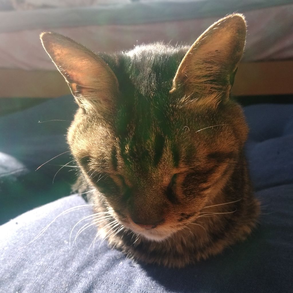 #9　季節の移り変わりのなかで