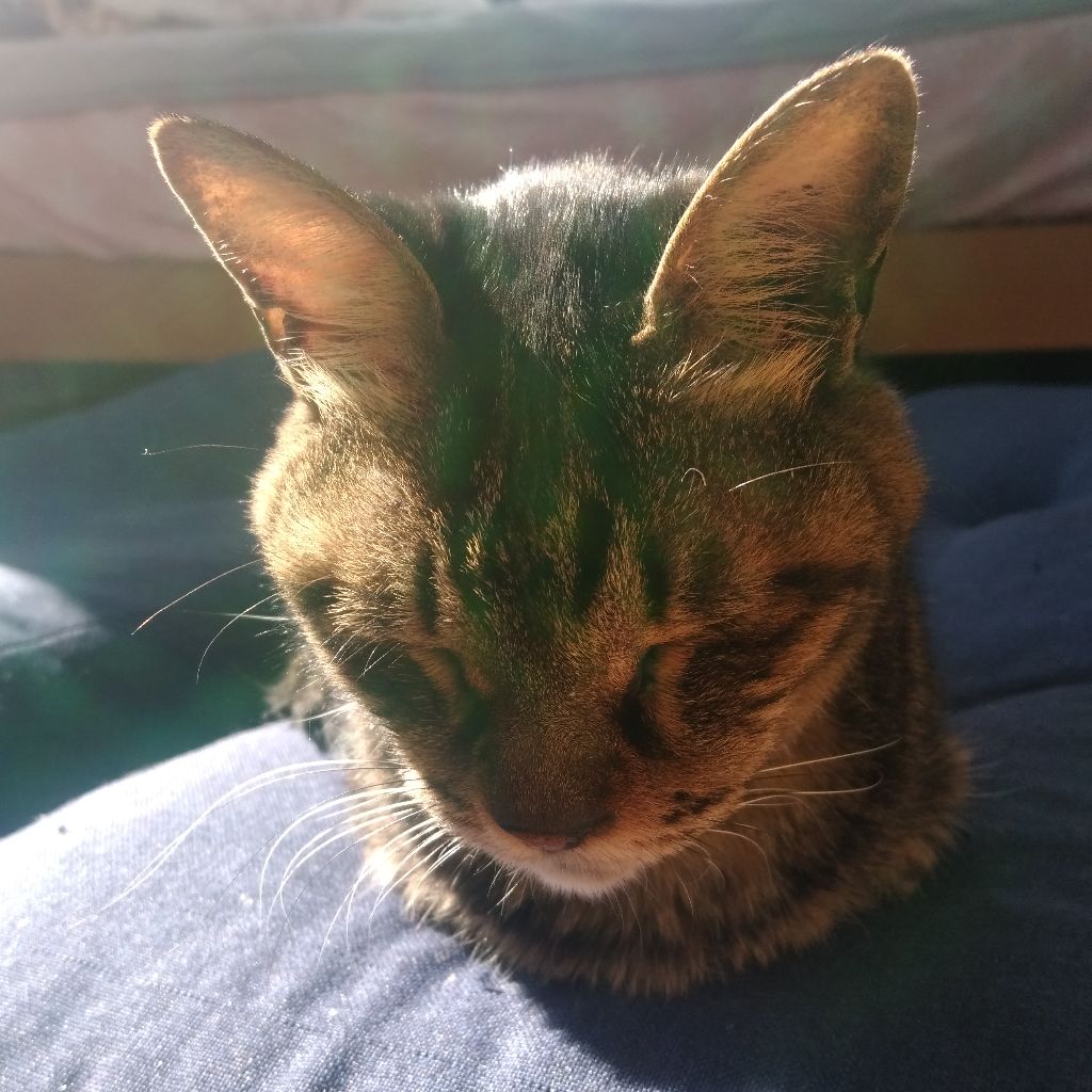 #35　おじいさんのひと言から思うこと