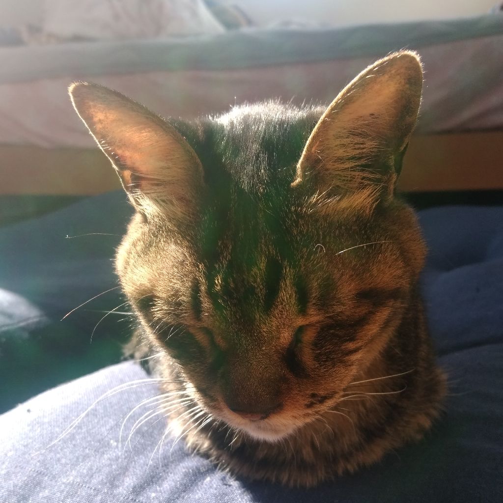 #69　せっかちでいいのかな