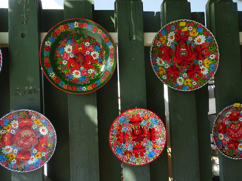 # 40 ガイド奮闘記