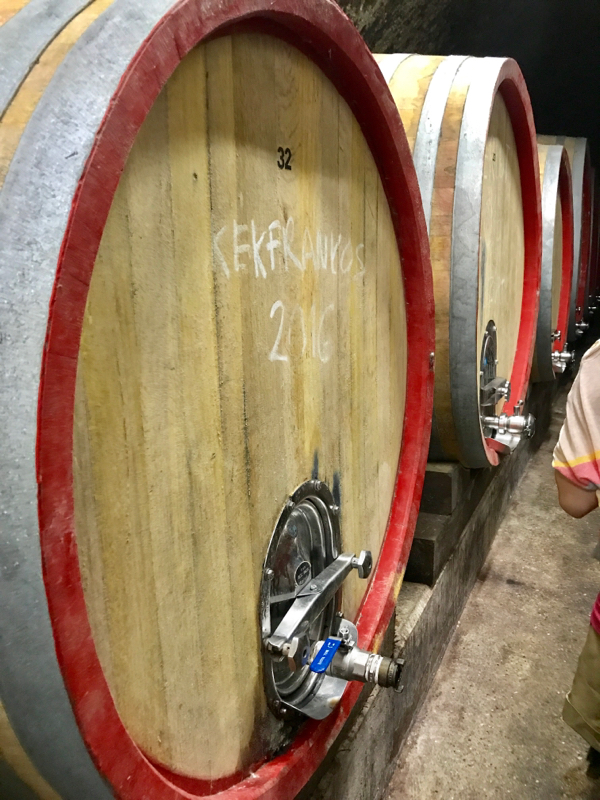 # 47 ハンガリーのワイン