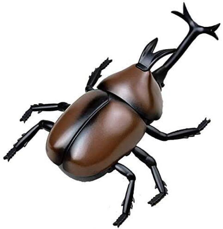 #202 ニコレット劇場　かぶと虫