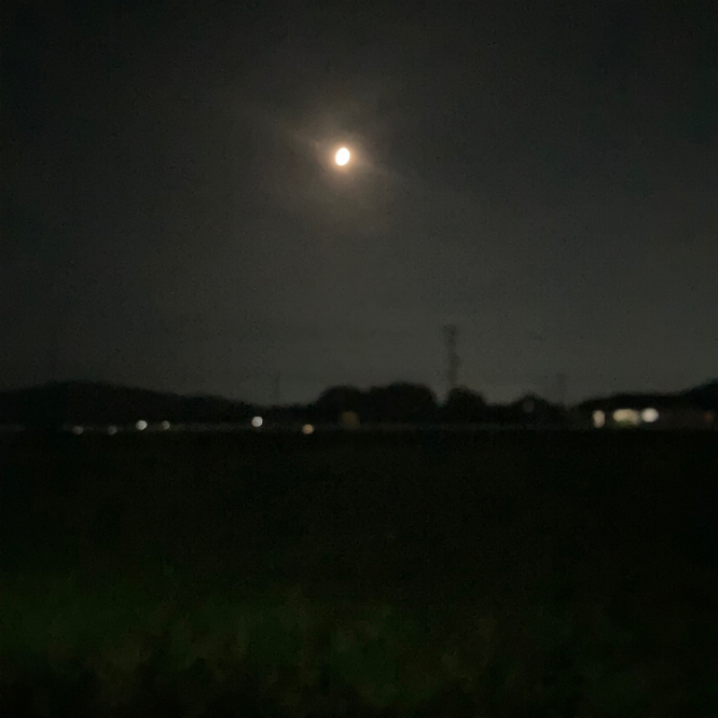 本当にありがとうございました