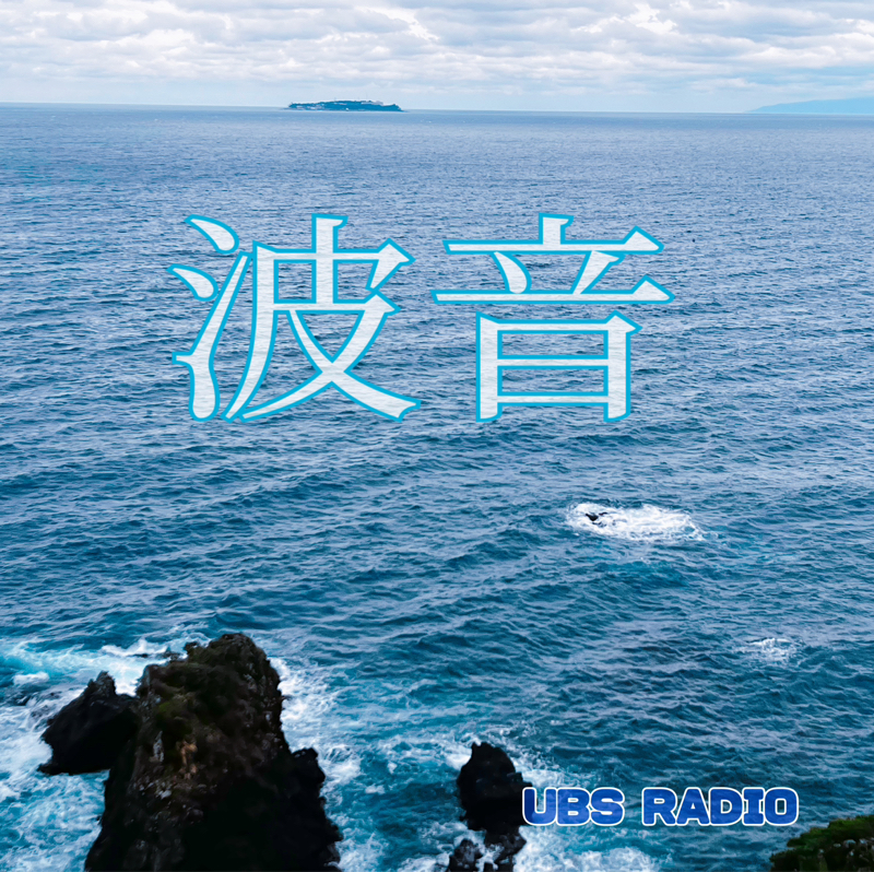 波音。時々 鳥の声
