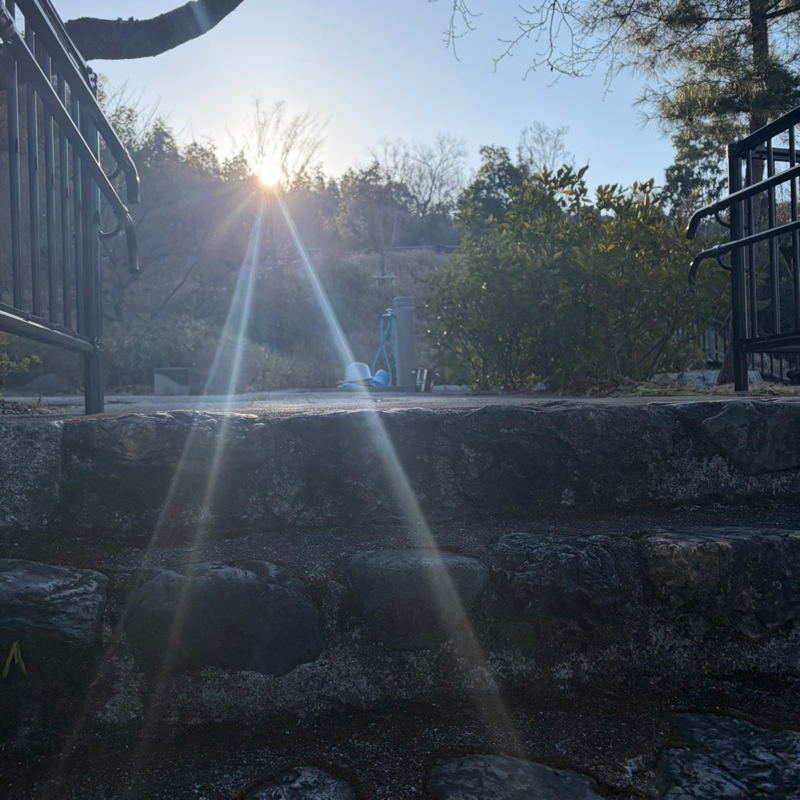 ☆154水曜日は，楽しいの日💕3/11