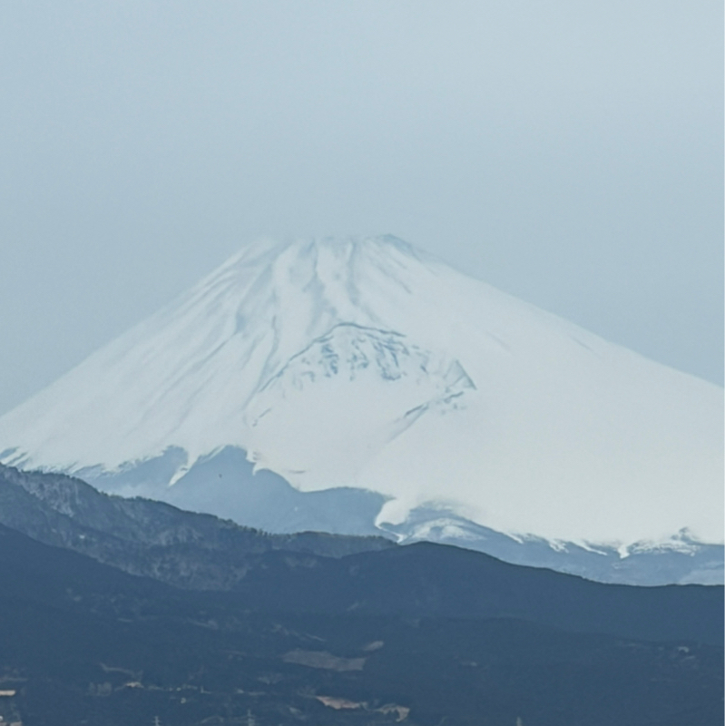 ☆156金曜日は，美しいの日💕3/13