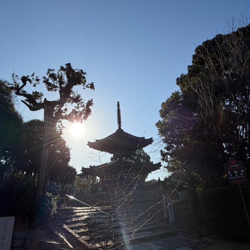 ☆🌹金曜日は、美しいの日🌹