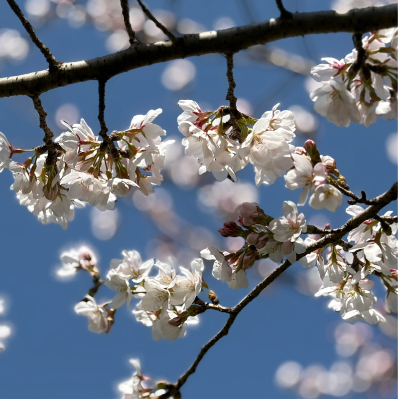 ☆163金曜日は、美しいの日💕3/27
