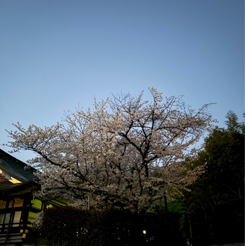 ☆167✨木曜日は大好きの日💕4/2